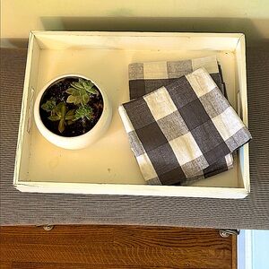 Checkered Cloth Napkins Set of 2 NEW Gray + White Check All Season 20 x 20